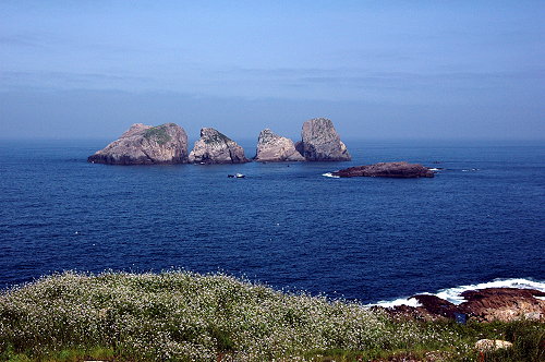 象山石浦海鲜大排档_象山石浦的海鲜_海鲜大排档装修效果图