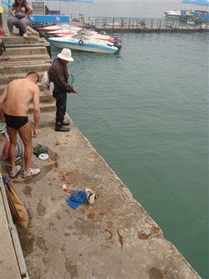 山东 青岛旅游的全部照片 - 海边抓海鲜的市民 - 驴评