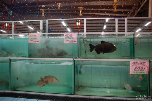 上海浦东海龙海鲜舫_海龙屯_泰国海龙寺