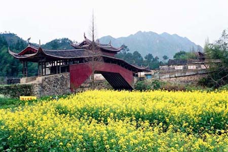 再到浙江-资讯撮要2泰顺