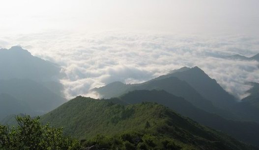 文 御垣行者(张家口热线社区) 生在海陀山下,有过无数次与她接触的机会,没有留驻文字,原因是每次面对她的广阔和神圣无从下笔,怕自己在不经意间误导了看我游记的人们。今日记录点滴也只是给有缘看到此篇文章的朋友抛砖引玉,渴望引来一千个人眼中的大海陀。 大海陀的名气远在山之外,由于她位于赤城县与北京的交界,她的高度、她的原始、她的绿色,深深吸引着一批批热爱绿色、渴望回归自然的都市里的人们。我身边的人们对她的认识大多仅限于赤城县第二高峰,一个革命老区的中心地,从一个国有林场发展到河北省自然保护区、国家级自然