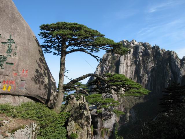 重发4月黄山-婺源游全纪录(请关注黄山部分)_黄山旅游攻略