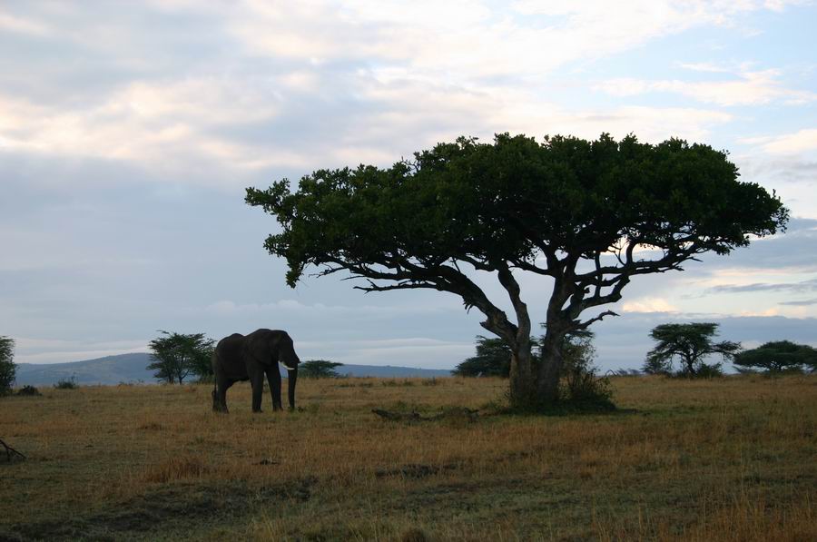 肯尼亚―不能错过的风景