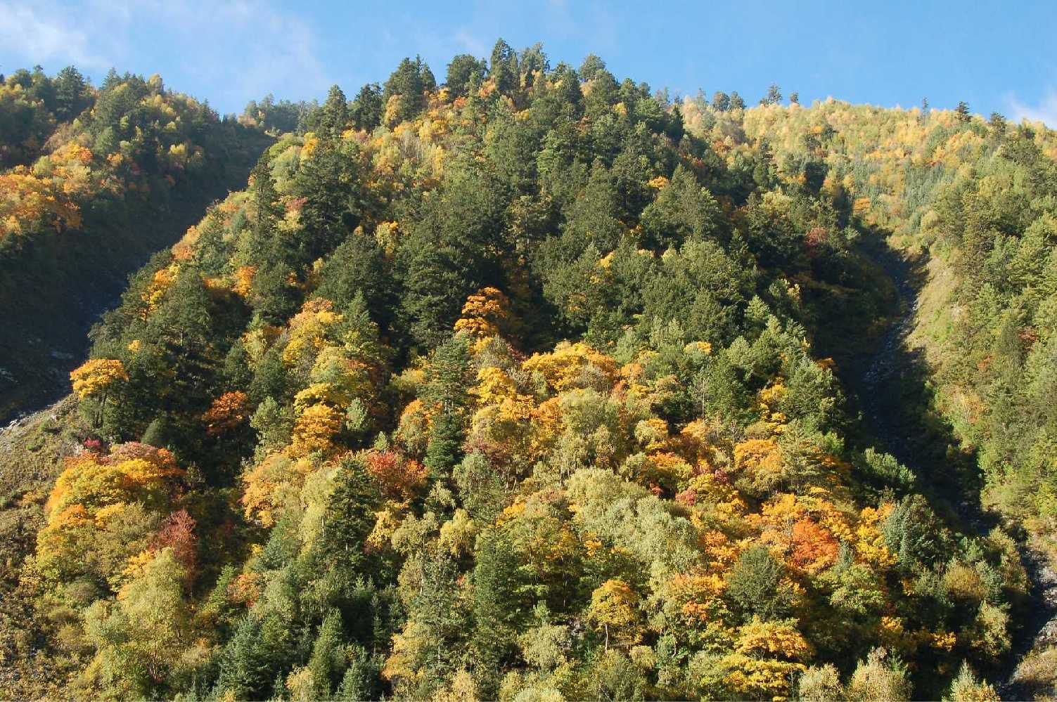 米亚罗篇 十月十九日,今天从松潘到米亚罗要过茂县,汶川,理县,将近