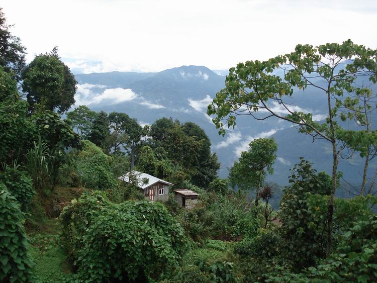 (去噶伦堡路上的风景)