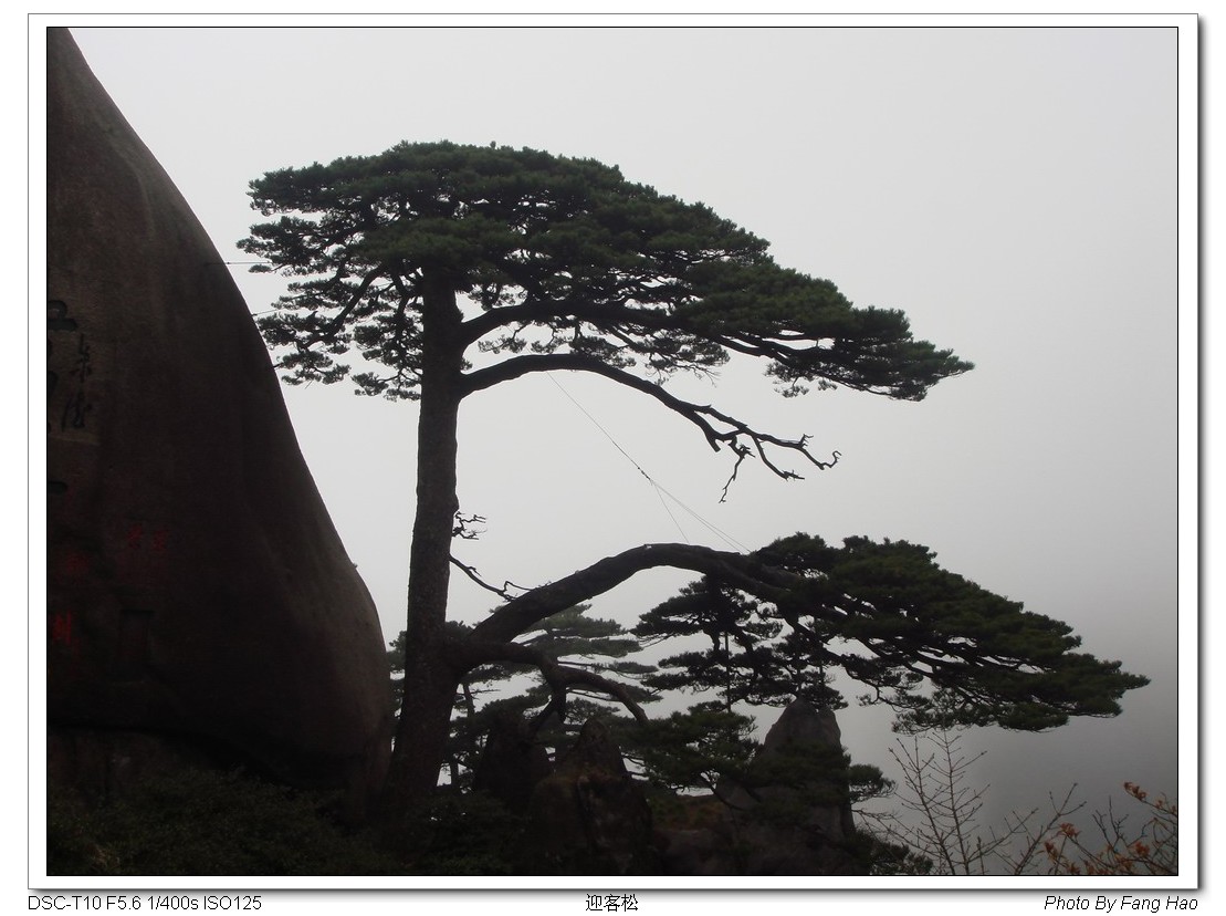 我的黄山自由行 黄山风景区游记攻略【携程攻略】