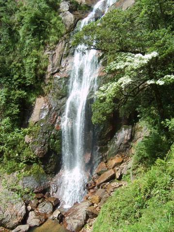 神龙谷)神龙谷风景旅游区起始距县城3公里,总行程50公里,景区内林海