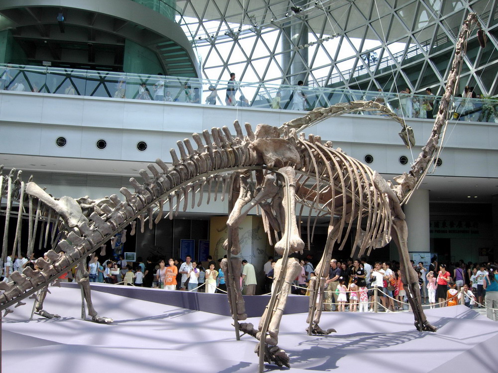 上海科技馆的恐龙展
