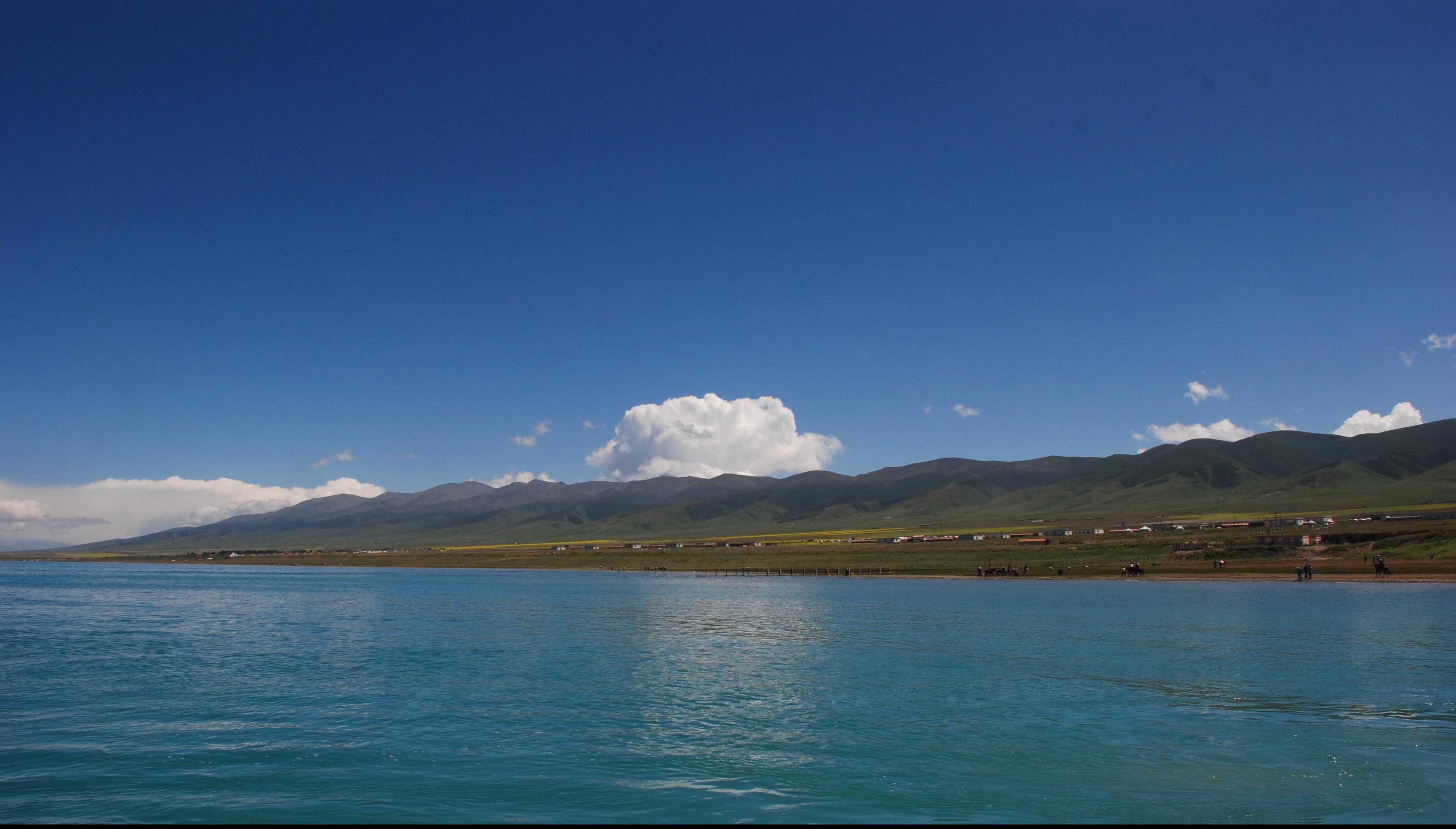 回到青海湖---2014年7月自驾游-青海湖旅游攻略-游记-去哪儿攻略