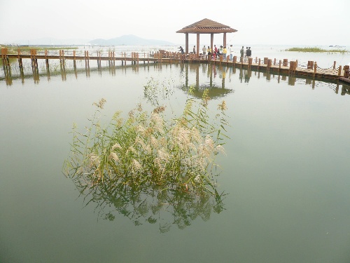 苏州的绿肺--太湖湿地公园