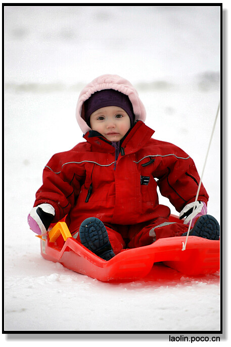 (小孩都坐着这种小雪橇由大人拉着走)