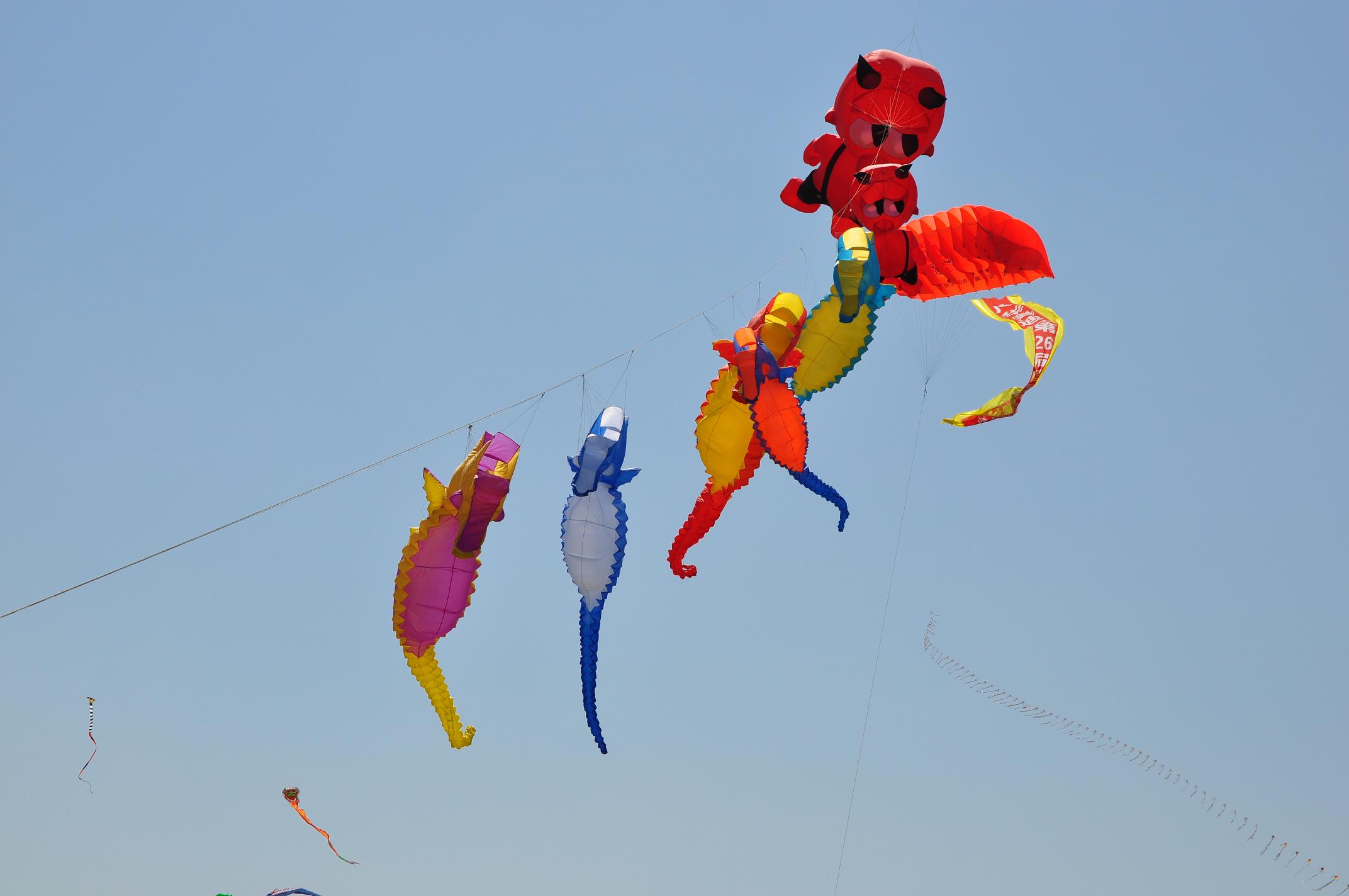 放飞希望之二--潍坊国际风筝节