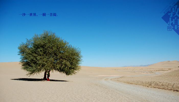 (鸣沙山,一沙一世界,一树一菩提,)