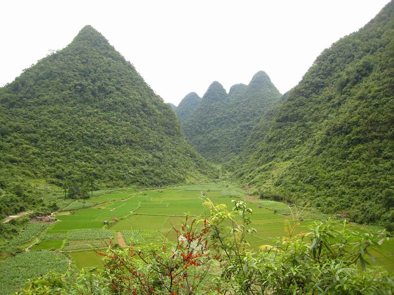 一路绿色一路水,六月黔桂—荔波(茂兰森林公园)