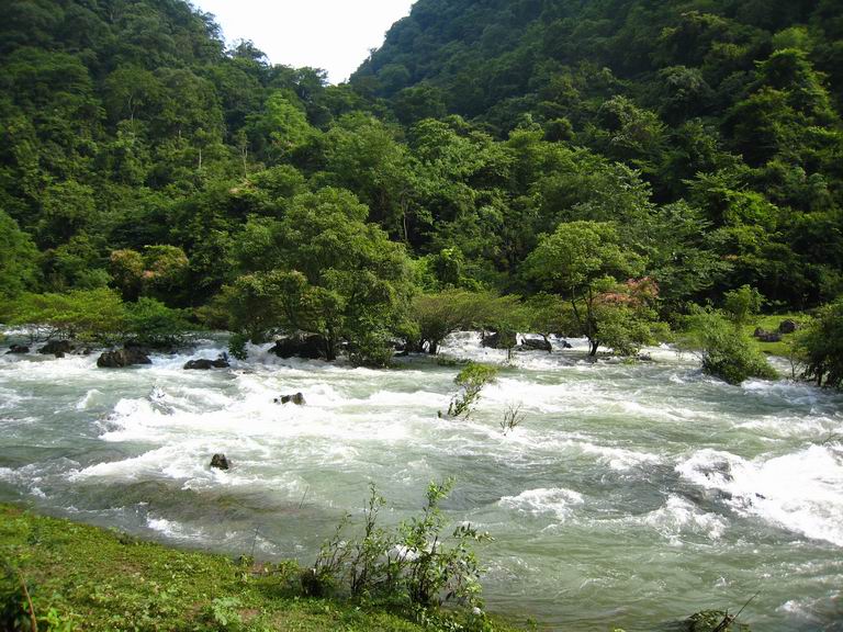 一路绿色一路水,六月黔桂—荔波(茂兰森林公园)