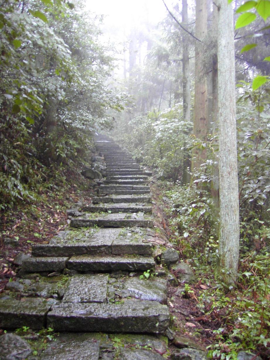 (雨中的山路很滑)