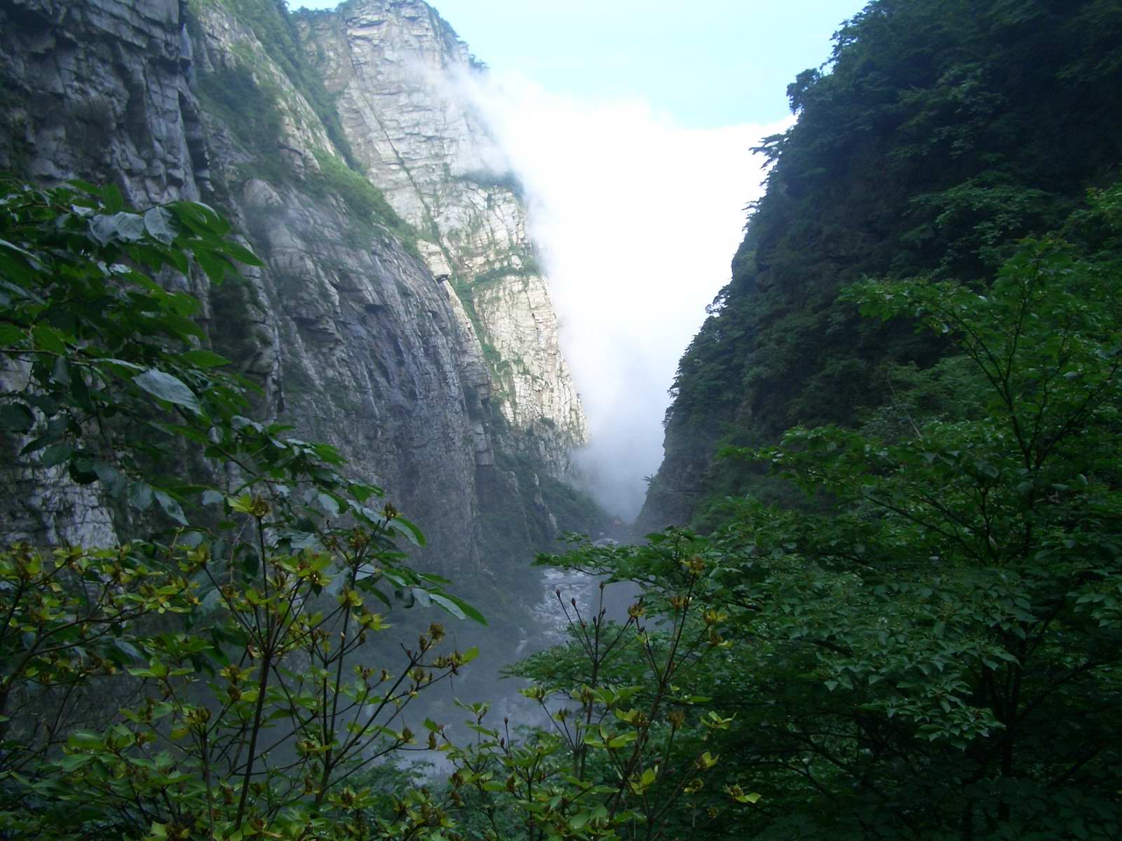 跟團廬山四日遊-1