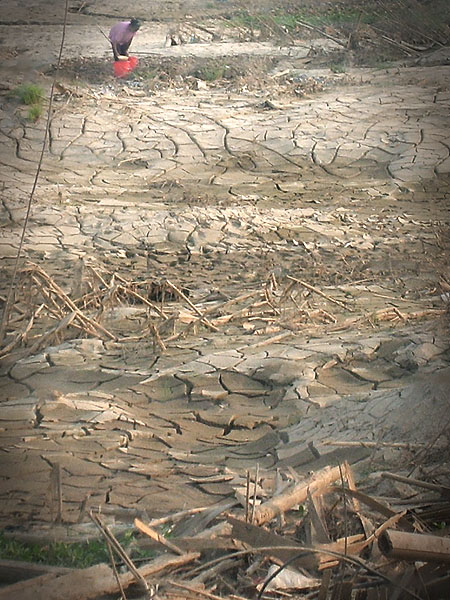(【2】水灾带来大量淤泥覆盖了草地,水退后只剩下干裂的土块)