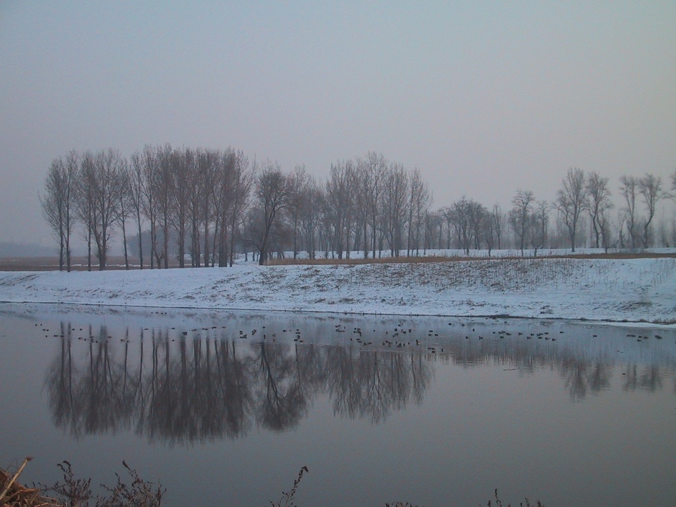 雪中的温榆河