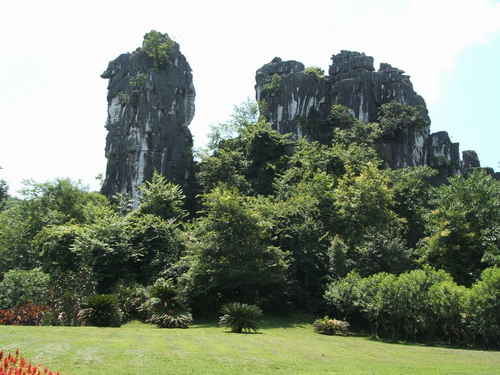 七星公园骆驼峰图片