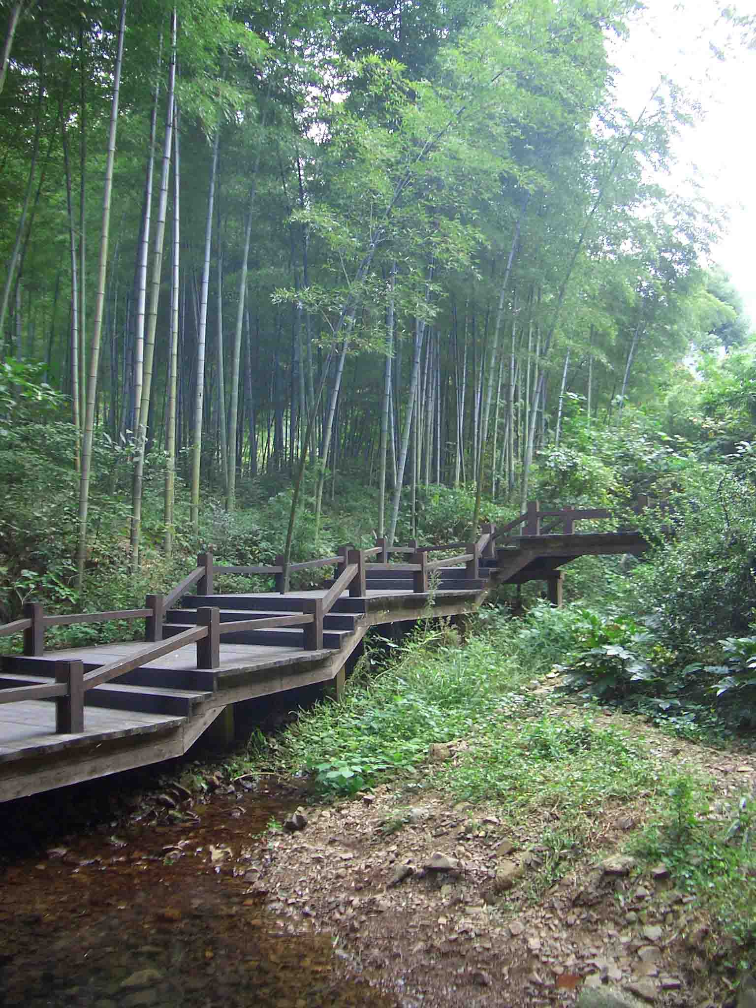 > 天目湖南山竹海自駕兩日遊