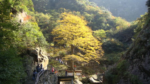 重陽登高——大明山(一)