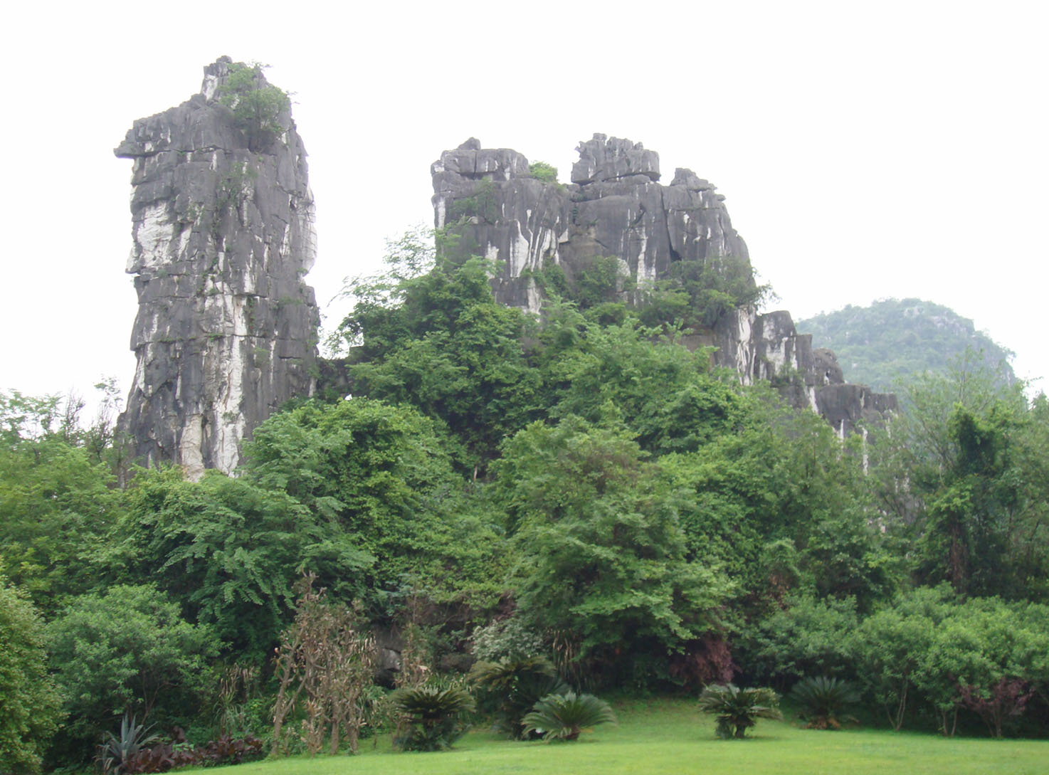 七星公园骆驼峰图片