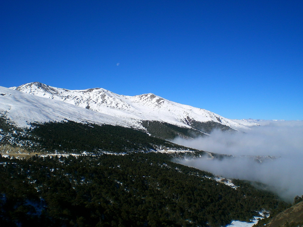 (白马雪山)