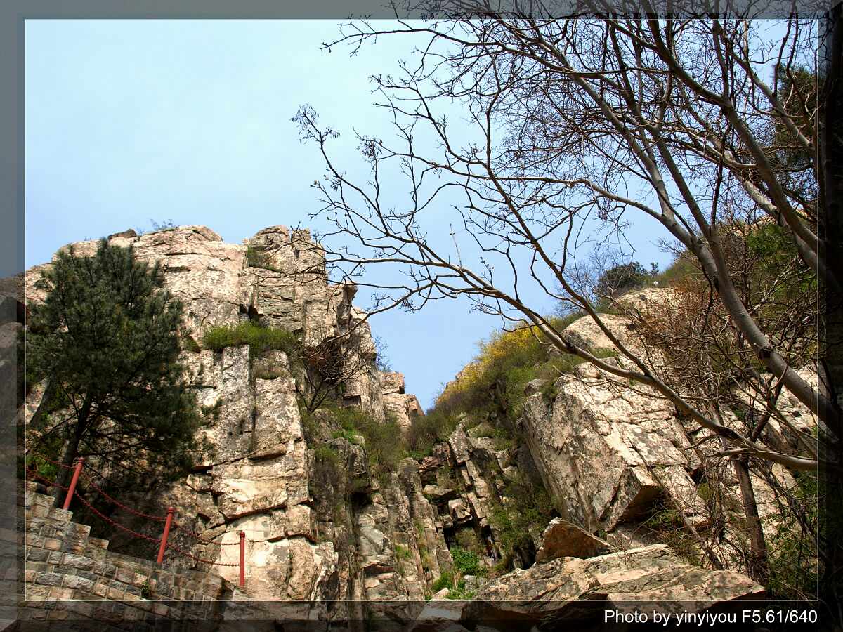 五一濟南泰山獨行遊