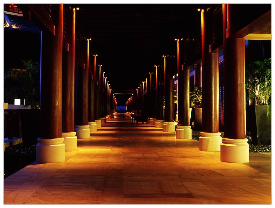 江门长廊生态园夜景图片