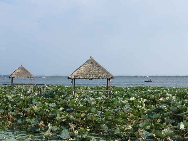 08金秋 横行莲花岛