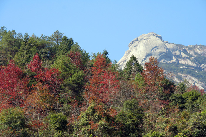 自駕去粵北雲髻山賞紅葉,泡溫泉攻略