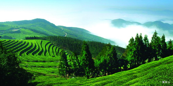 悠游福泉山