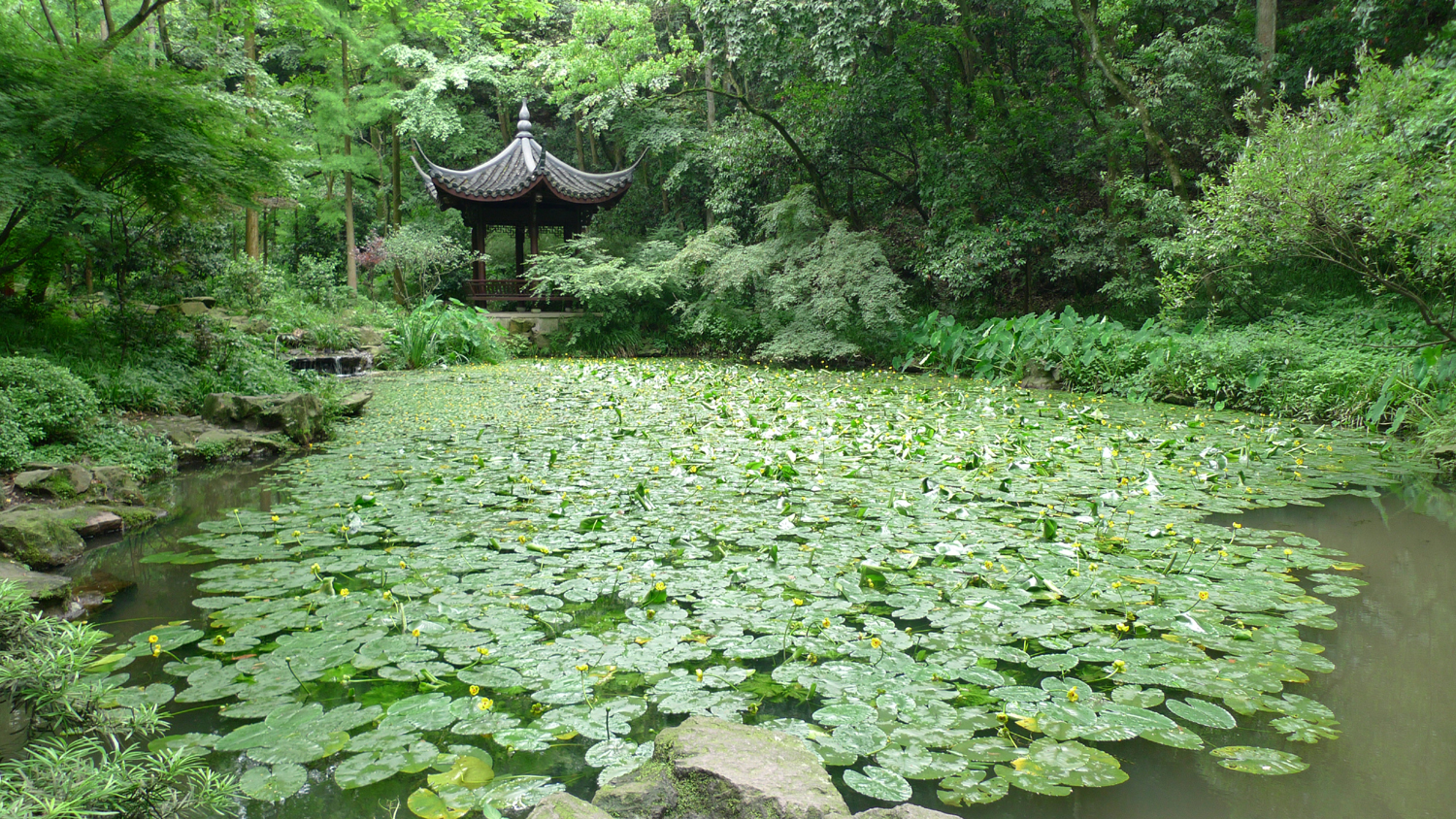 (虎跑一景)